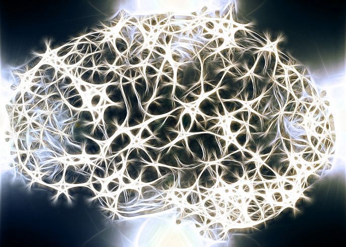 Mozog a neurónové prepojenie 